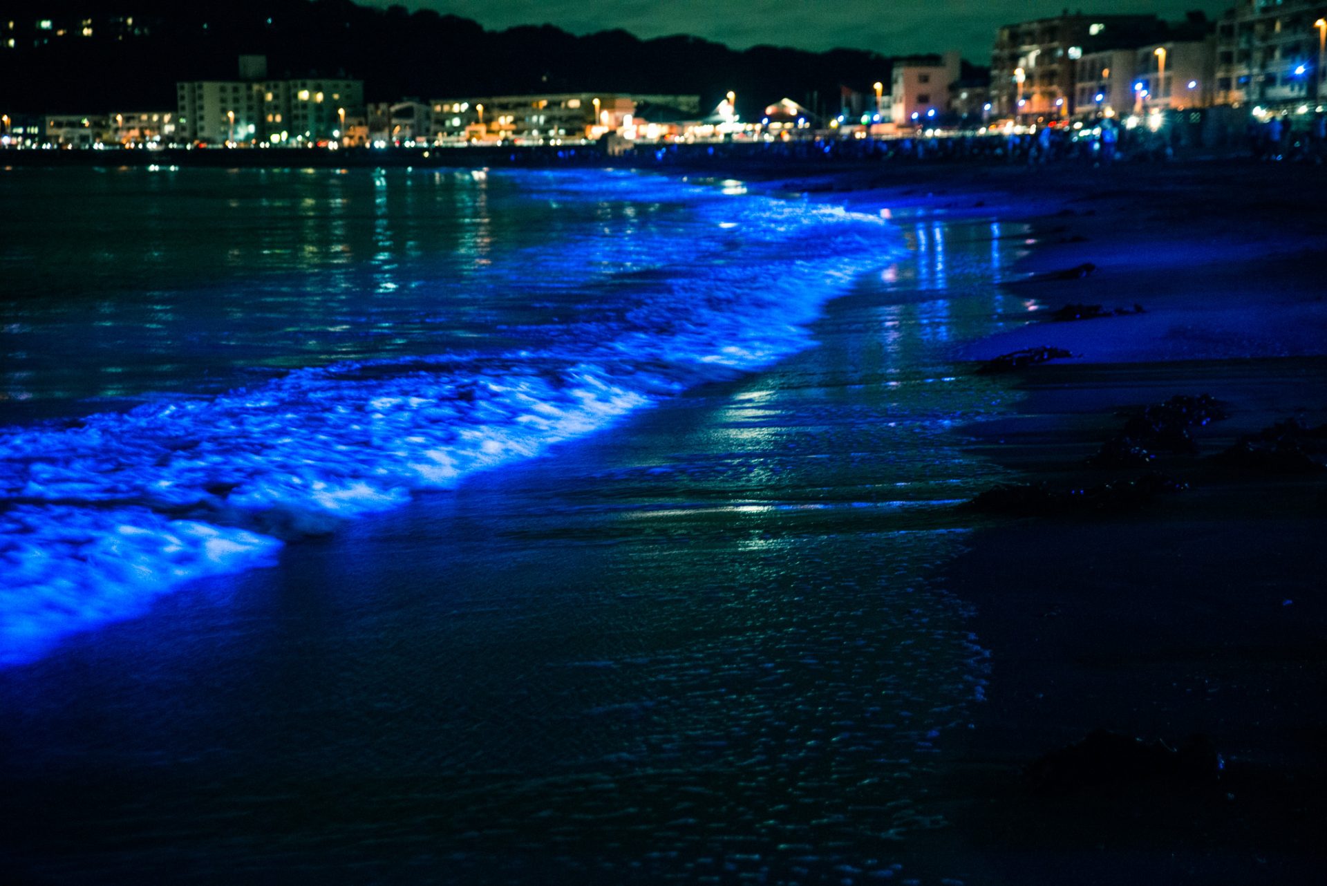 逗子海岸のライトアップの様子