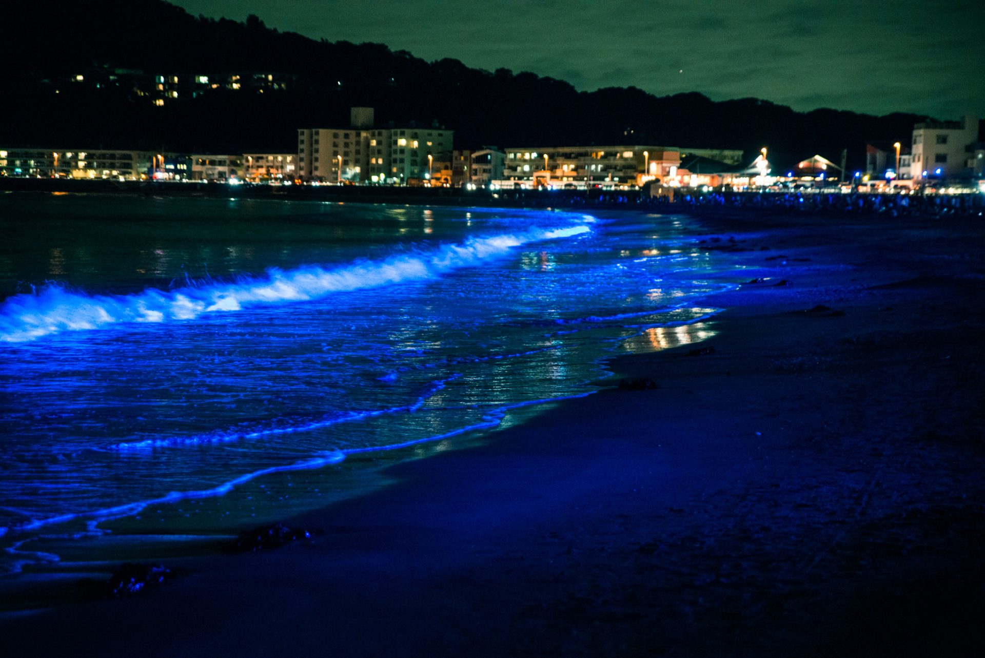 逗子海岸のライトアップ 9