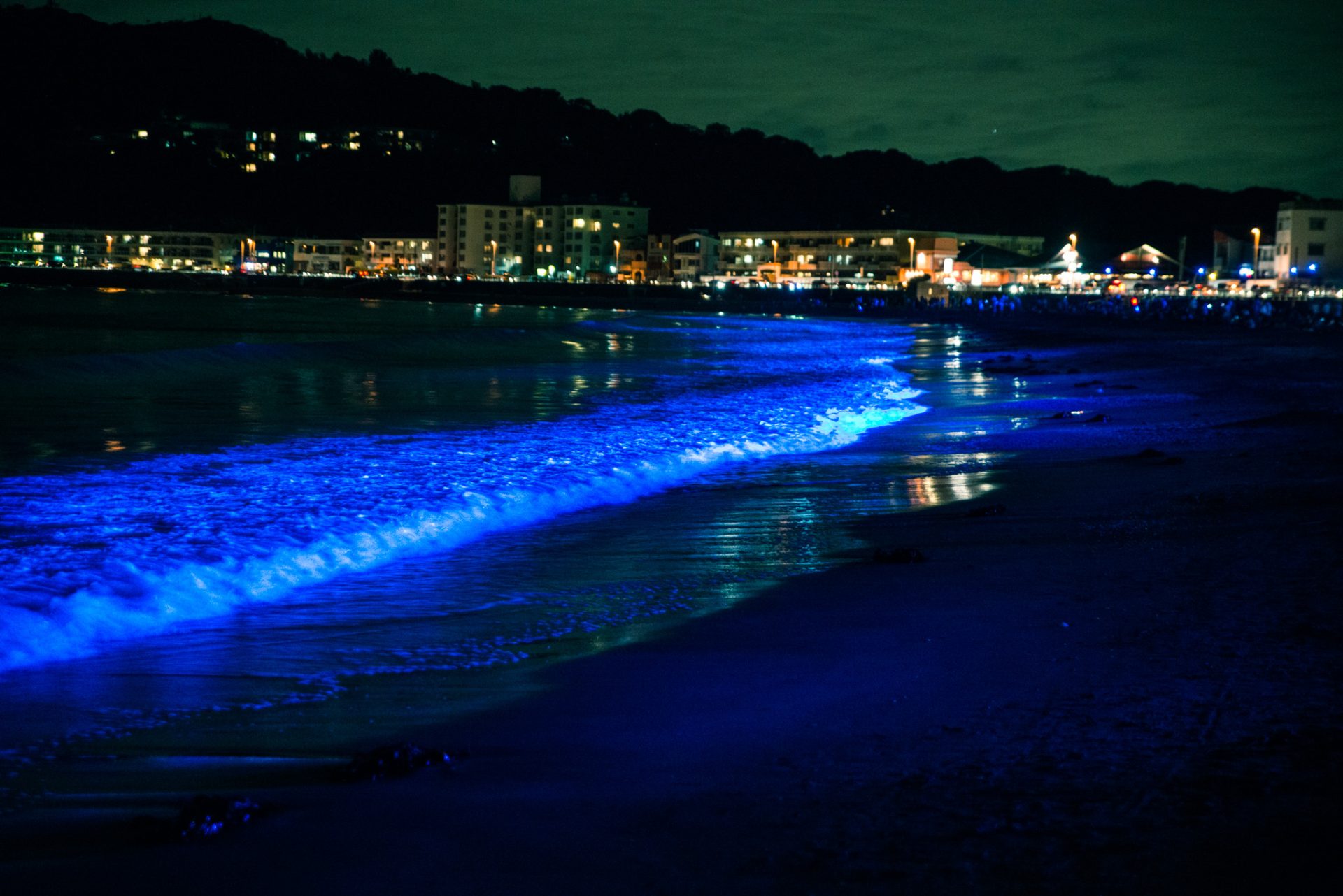 逗子海岸のライトアップ 8