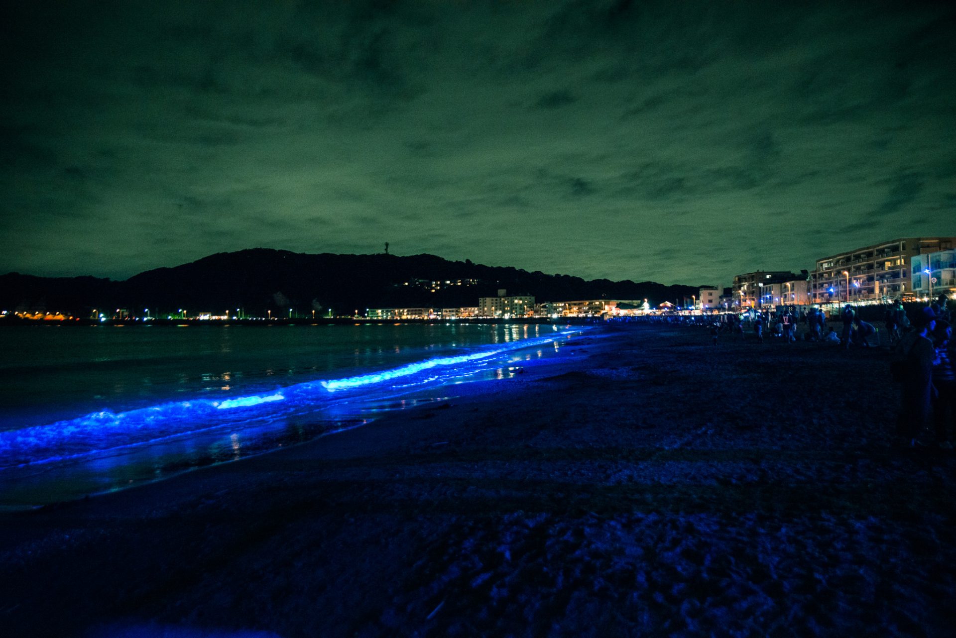 逗子海岸のライトアップ 7