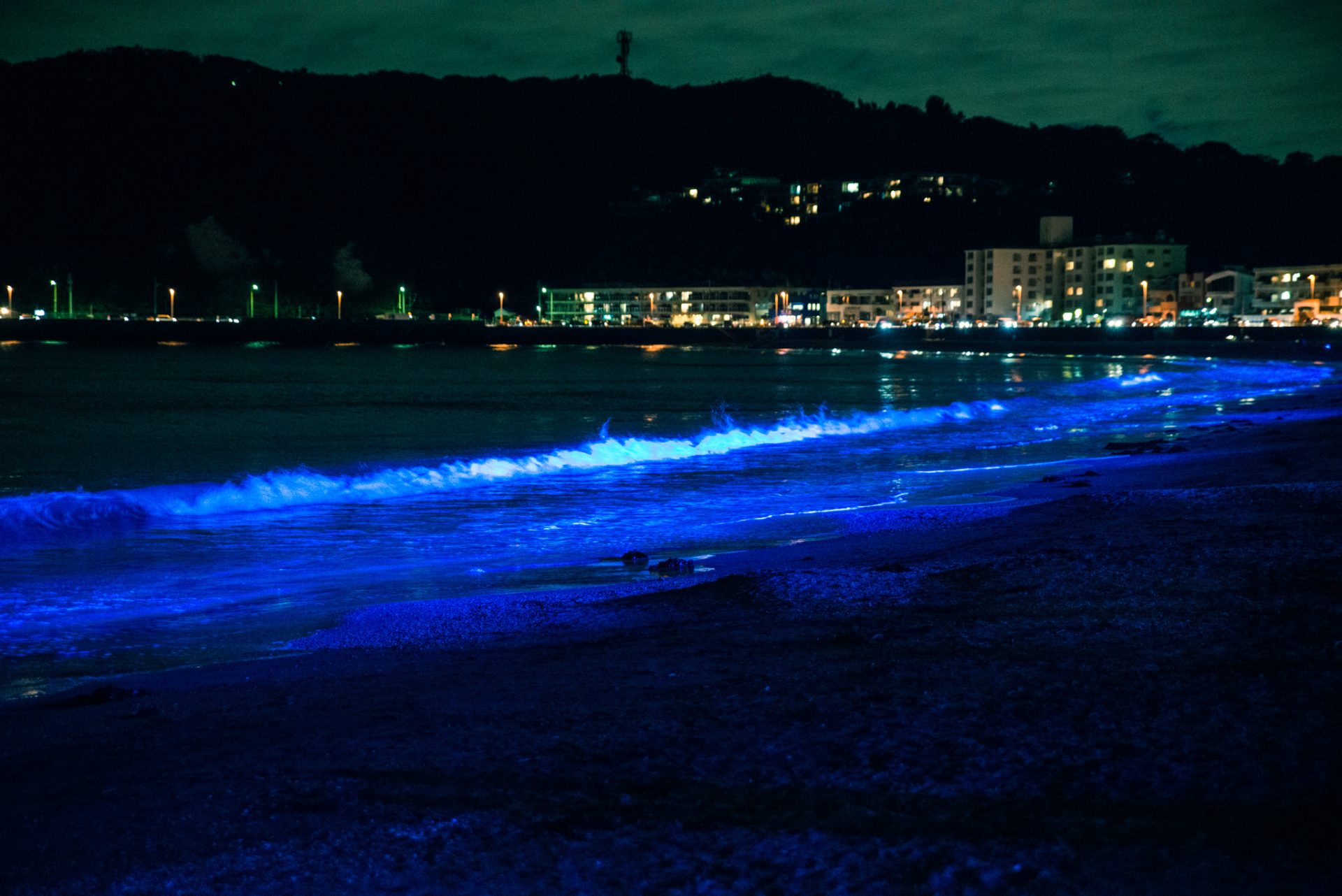逗子海岸のライトアップ 5