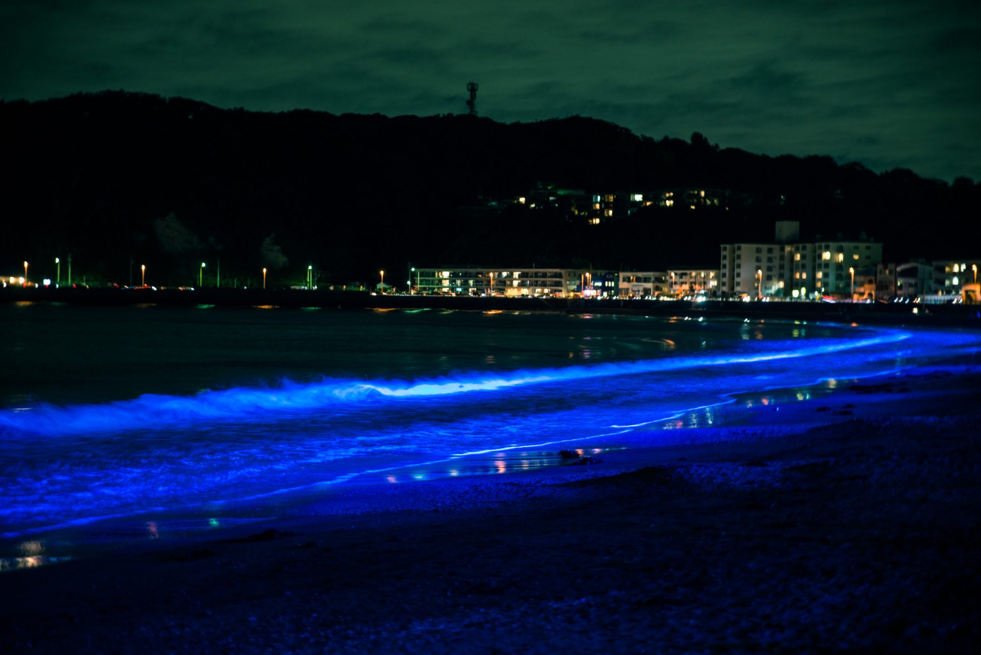 逗子海岸のライトアップ 3